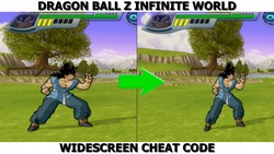 A widescreen cheat code for the game Dragon Ball Z Infinite World.