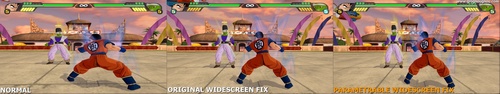 A closer look on the characters Future Gohan and Pikkon and the difference it makes with the Widescreen fix patch for Dragon Ball Z Tenkaichi 3.